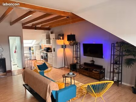 loft mansardé lumineux 45 m² – 380 euros hc - charme et volumes