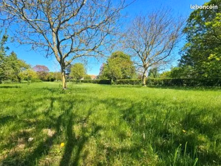 terrain 1 556 m² cressonsacq