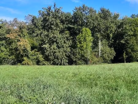 terrain 1 113 m² escoutoux