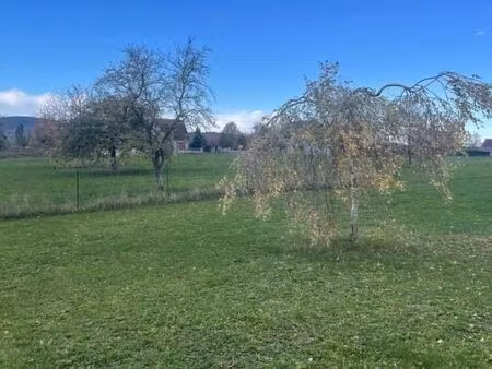 terrain 577 m² schwenheim