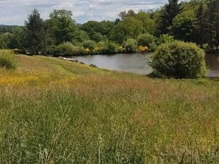 terrain agricole et étang