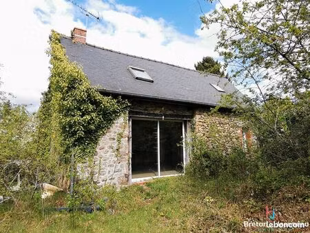 maison 2 pièces 55 m²