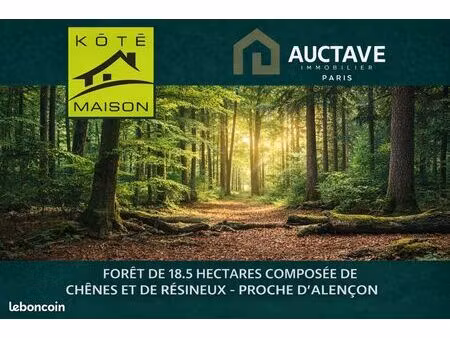 terrain 185000 m² alencon