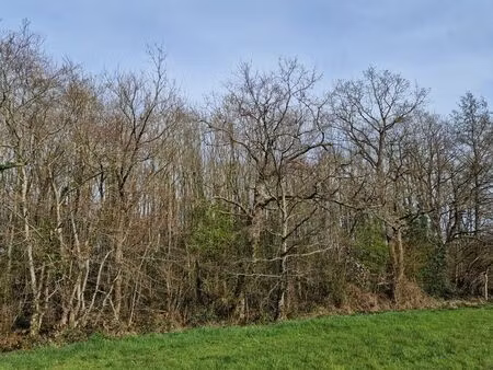 terrain 12460 m² pre en pail