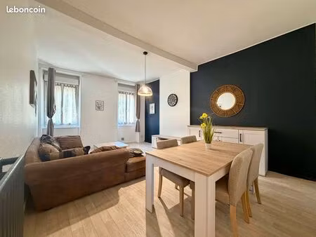 rare à nay - magnifique t3 lumineux 80m² rénové
