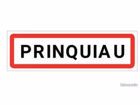 recherche terrain prinquiau