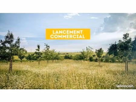 terrain 602 m² schwobsheim