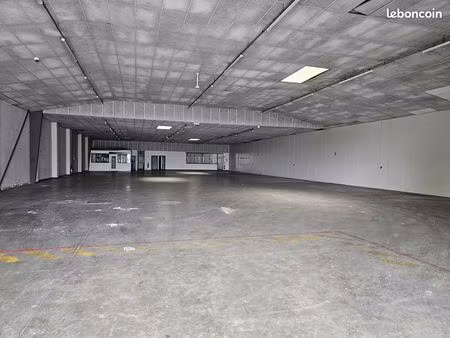 local 1200 m² cholet