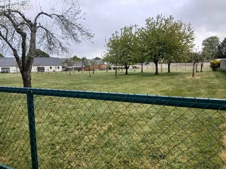 terrain constructible