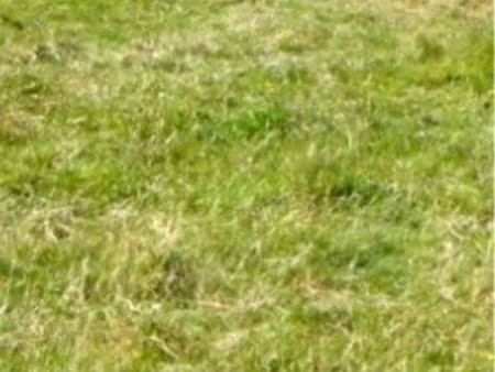 terrain 250m2 non viabilisé constructible libre constructeur centre ville saint molf rue p