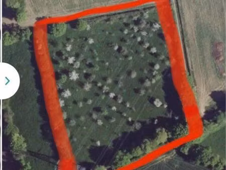 terrain agricole 1 ha