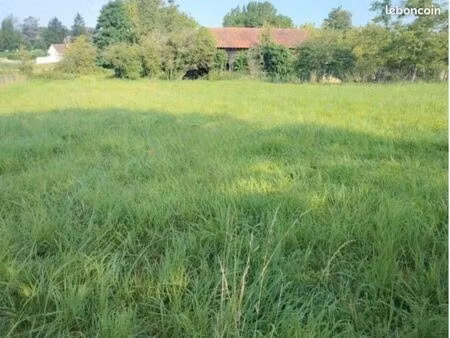 terrain constructible