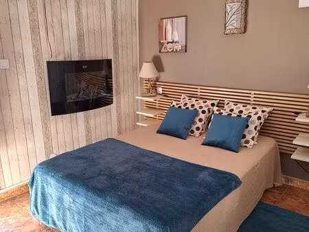 joli studio rénové climatisé 3* - parking privé