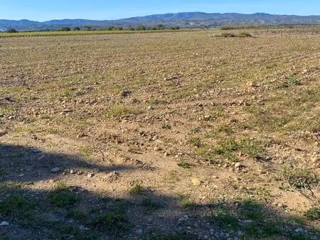 terrain ancienne vigne