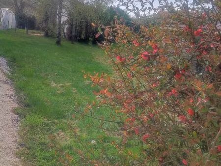 terrain constructible