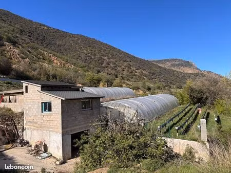 terrain en maraichage et arbo