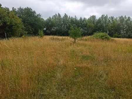 terrain 709 m2 a sorrus