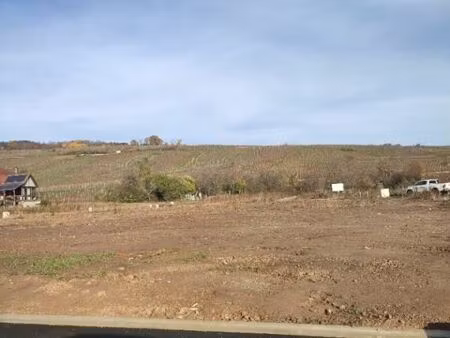 terrain 422 m² riquewihr