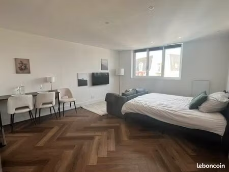 studio rénové plein centre