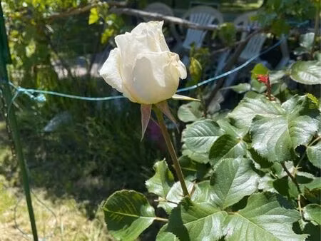 terrain rare proche fontainebleau