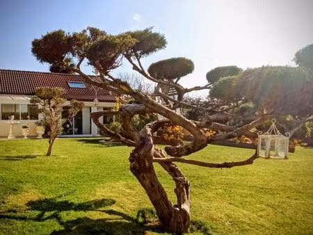 maison 7 pièces 170 m²