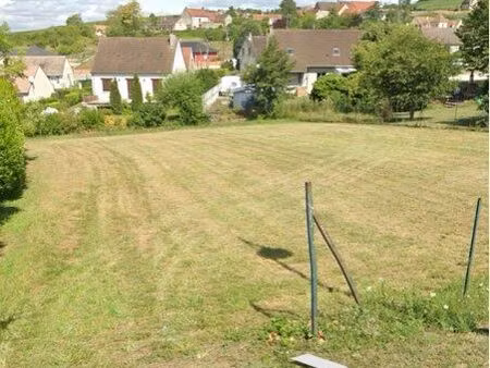 terrain constructible