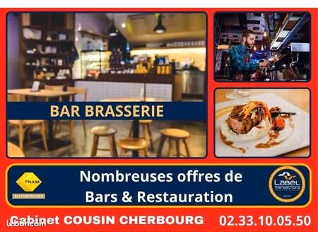 fonds de commerce bar  brasserie 600 m²