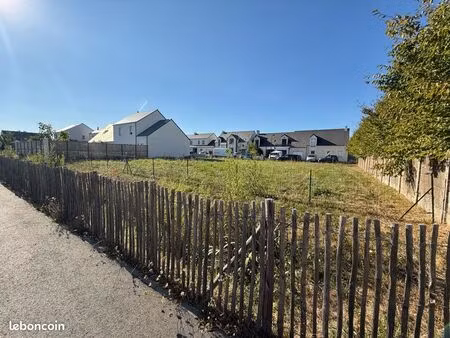 terrain constructible