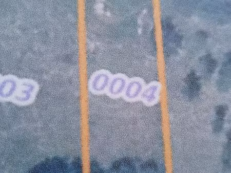 vente terrain ossun 65380