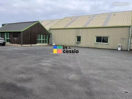 local d'activité 1 000 m²