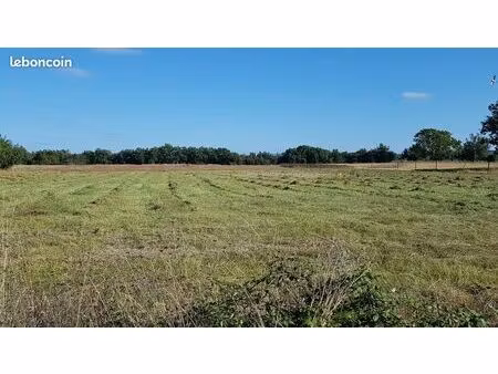 terrains plats graulhet 81300