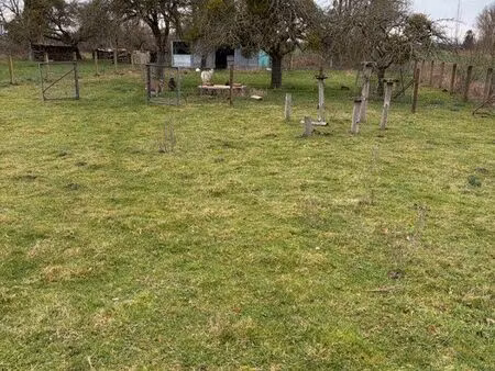 vergers non constructible