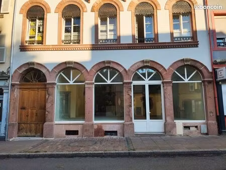 local professionnel rénové