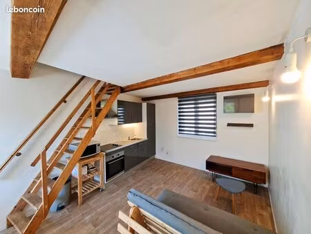 maison à lille avec garage