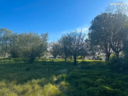 terrain à construire