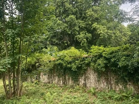 terrain 1560 m² morainvilliers
