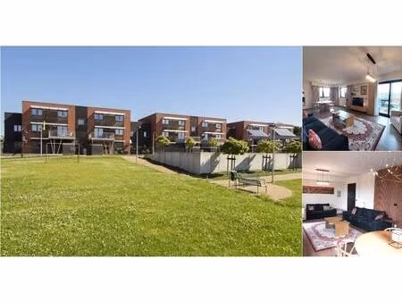 appartement à louer à kolderhof 14 zolder (rbv71576)