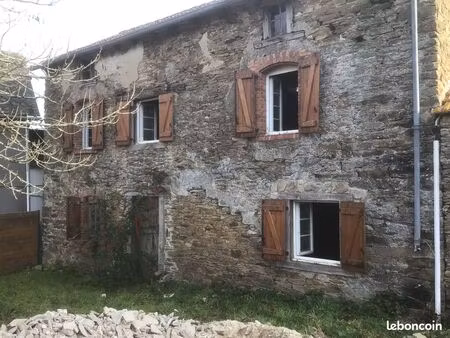 maison avec grand terrain