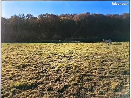 terrain 2 937 m² benac