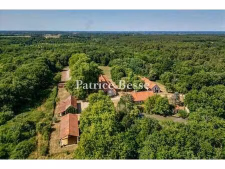 vente maison à saumur (49400) : à vendre / 717m² saumur