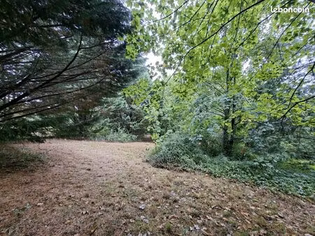 terrain 3556 m² dénat