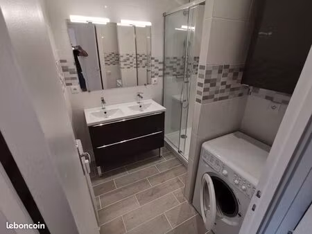 f2 refait à neuf meublé 52 m2 + garage individuel fermé + cave