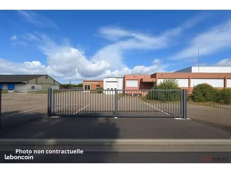 local 967 m² riedisheim