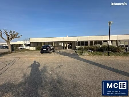 bureaux 280 m² strasbourg