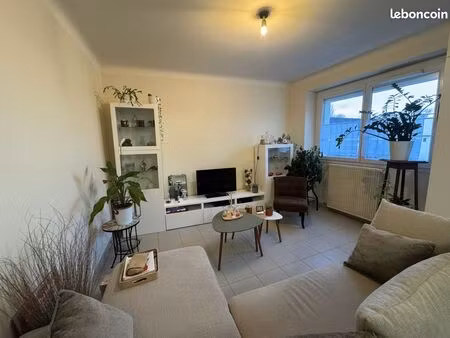 maison 3 pièces 55 m²