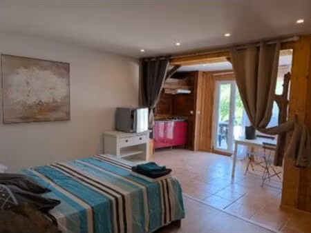 magnifique studio avec grande terrasse