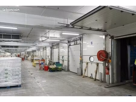 bâtiment frais positif 10.000m²