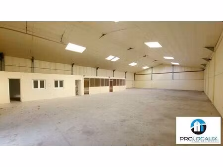 local d'activite 424 m² camon