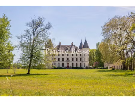 vente maison 19 pièces 750 m² à baugé-en-anjou (49150)  4 000 000 €