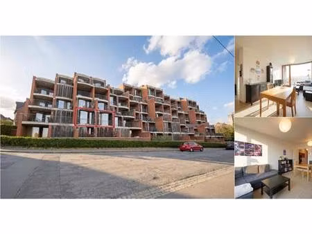 appartement à louer à rue chauve-souris 66 liège (vbe11616)